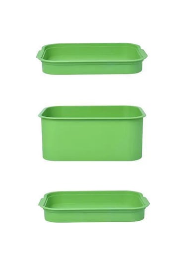 Homyl Tohum Filiz Tepesi Ev Mutfak Maş Fasulyesi Için Büyük