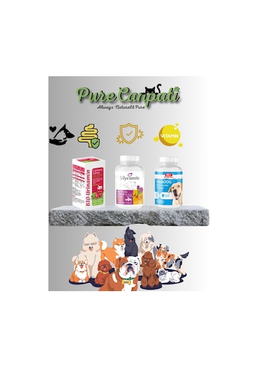 Purecanpati Köpek Destek Vitamin Seti Silycumin Vitalidog Bio Uri