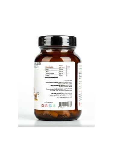 Vitamost Kafein 60 Tablet