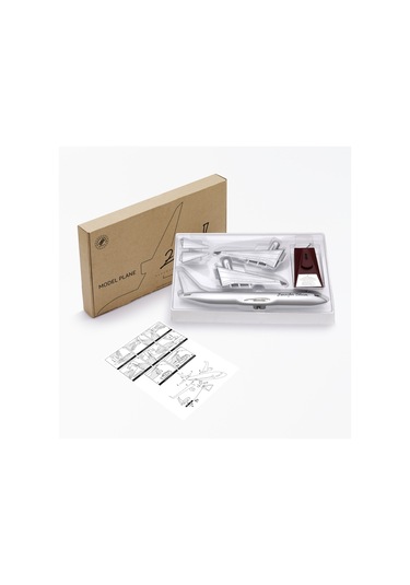 Zekupp - Maket Uçak - Boeing 737-800 1/100 - GÜMÜŞ RENK ÖZEL TASARIM Model Uçak