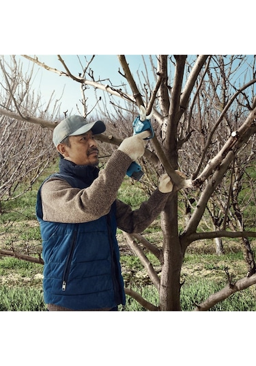 Bosch Pro Pruner Akülü Bahçe Makası (Akü ve Şarj Cihazı Dahil Değildir) - 06019K1020