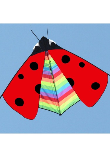 Suntek Delta Kite Fly Uçurtma Spor Bahçesi Için Büyük Kanat