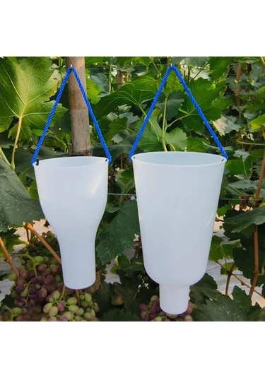 Suntek Üzüm Meyve Islatma Kupası Yetiştirme Bakımı S