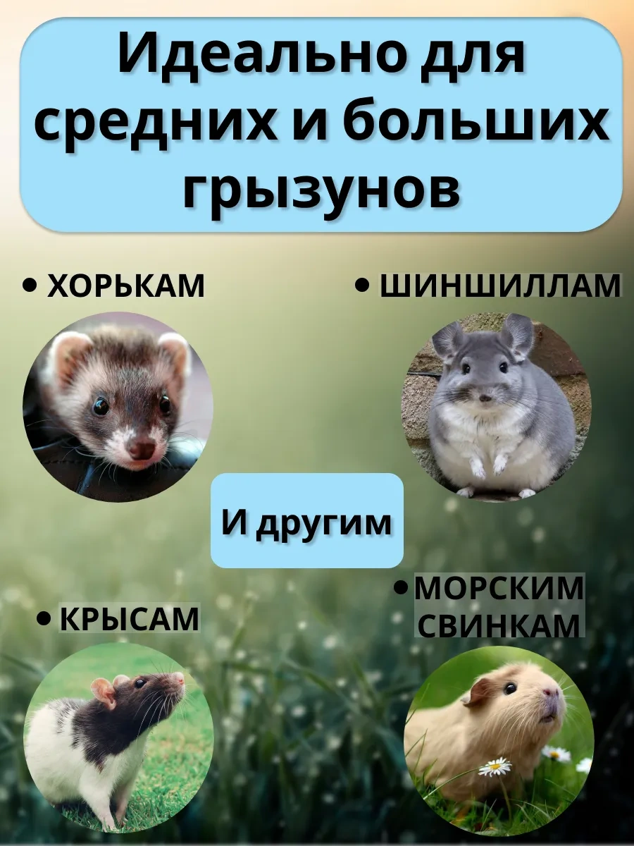 Petipet Kemirgenler Ve Sıçanlar İçin Çift Katlı Kafesli Hamak 178354948