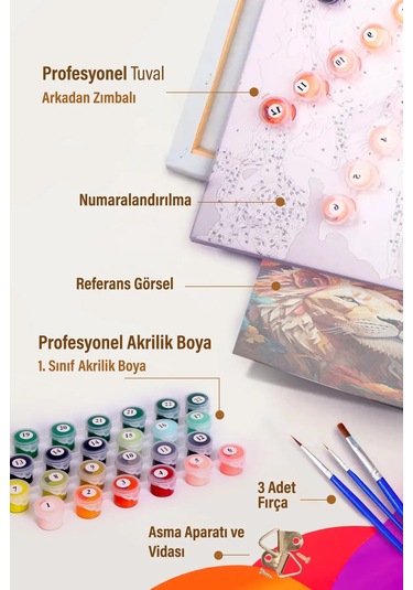 Moranka Sayılarla Boyama Hobi Seti Çıtalı 40x50 Cm - Kabe