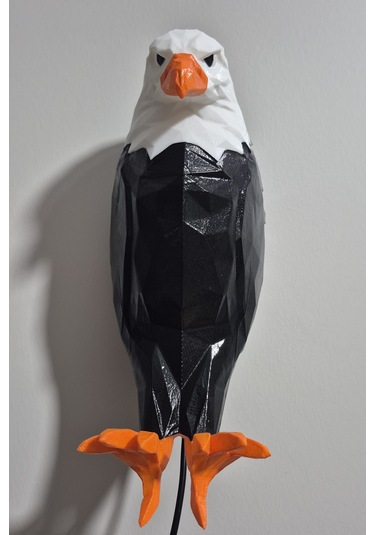 Work3d Adaptörlü Renkli Kartal Aplik Beyaz