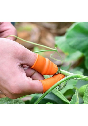 Pratik Baş Parmak Sebze Kesme Ayıklayıcı Erkek L Set Renkli