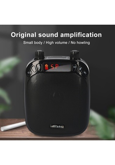 Teltree Gül Altın Ses Güçlendirici: Öğretim/tur Rehberi İçin, Bluetooth/mikrofon/tf Kart/disk/dikta Fonksiyonlu, Bel Taşıma Seti