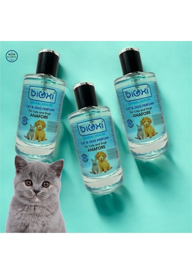 Bioxi Kedi & Köpek Parfümü Anafore 100ml