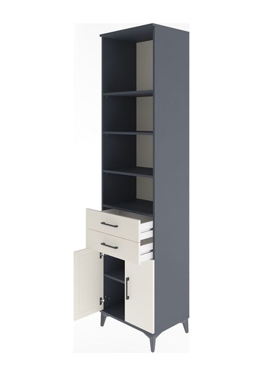 Hyperion Dolap 5 Raflı 2 Çekmeceli 2 Kapaklı 60x44x243 Antrasit-aytaşı Antrasit