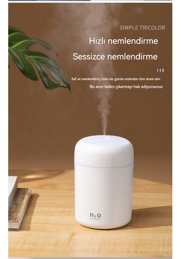 Renkli Hava Nemlendirici Masaüstü Temizleyici- Beyazı