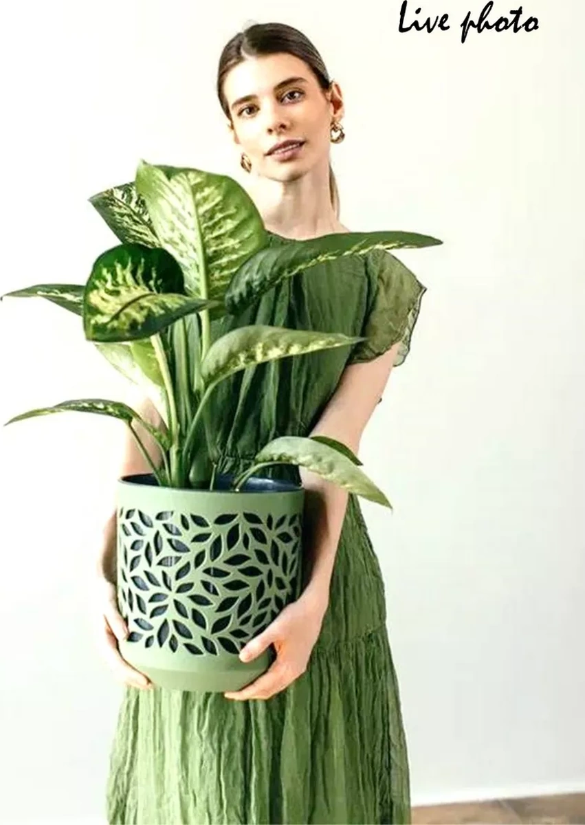 La Decoro İç Mekan Çiçek Saksısı, Çiçek Saksısı, Leaves Saksı 240787142