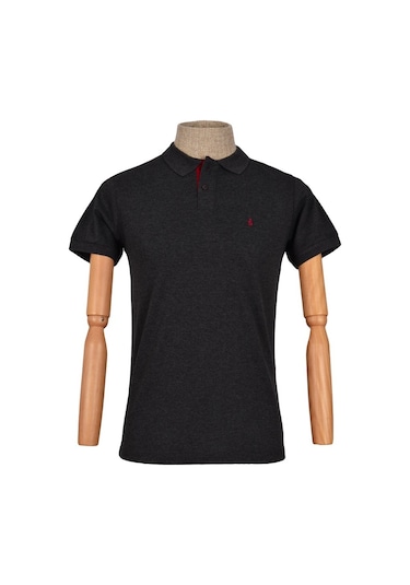 Cengiz İnler Polo Yaka Düz T-Shirt Slim (548479043)