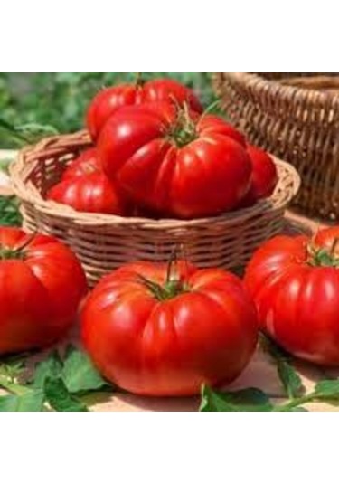 200 Adet Tohum Nadir Organik Köy Dev Domates Tohumu Yerli Köy D