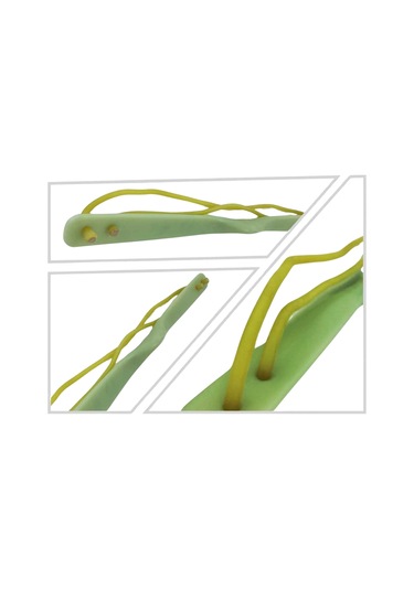 Polikarbon Kepade Çalışma Yayı 54 Cm 2 Lastikli