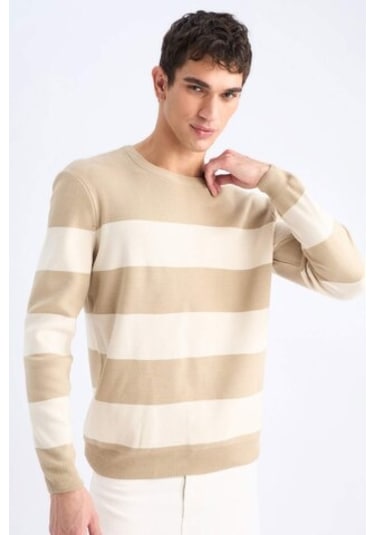 DeFacto Standart Fit Bisiklet Yaka Triko Kazak D1968AX24AUBG295