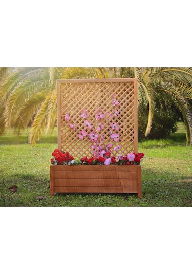 Mandu Ahşap Sarmaşık Saksı