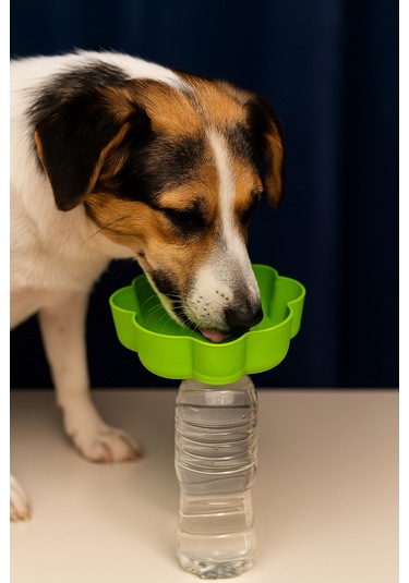 Açık Hava Evcil Hayvan Su Kabı - Köpekler Ve Kediler İçin