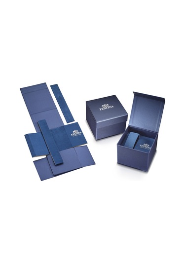 Festına F20633/4 Tımeless Chronograph Erkek Kol Saati Altın