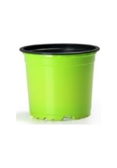 50 Adet Renkli Saksı Vakum Saksı Üretim Saksısı Ucuz Saksı