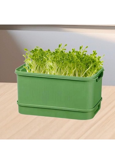 Pazly Tohum Tepesi Suntek Mutfak Maş İçin Filiz Fasulyesi Geniş Fi