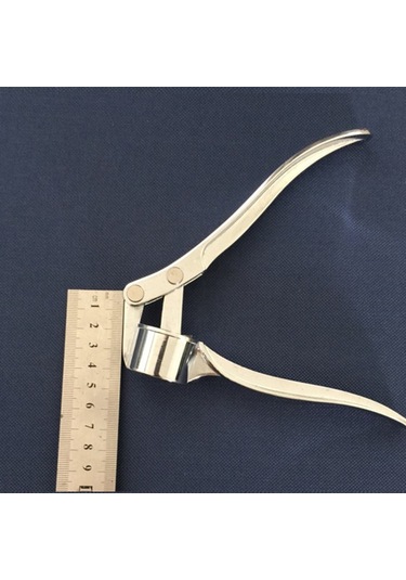 Sarımsak Pres Çinko Alaşım Kıyma Zencefil Ezici Sarımsak Gümüş Gümüş