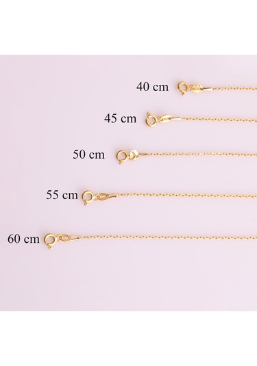 925 Ayar Gümüş 40 Forse Hayalet Kolye Zinciri - C00101 Altın