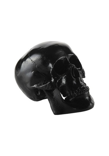 Lijinxu Reçine Çoğaltma Sanat İnsan Kafatası Modeli Parti