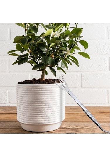 Pazly Toprak Suntek Kavisli Tırmık Gevşetme Cımbızı Bonsai Akvaryum Aleti