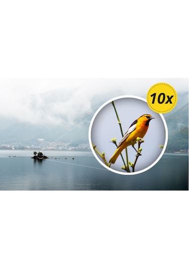 Bresser Dürbün Hunter 10x50 Siyah