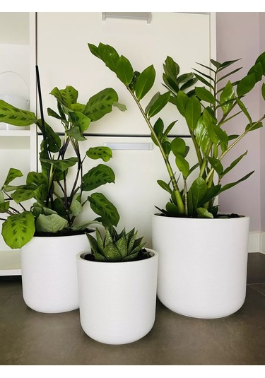 Live-in-green Ev İçin Dekoratif Saksı/zeminde Kullanılabilen/plastik Büyük Çiçek Saksısı 159796063