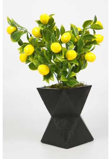 Siyah Beton Saksıda Limon Ağacı Yapay Ağaç Vazoda Yapay Bitki Kahverengi