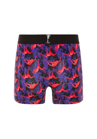 Farm Animals Red Monkey Desenli Boxer