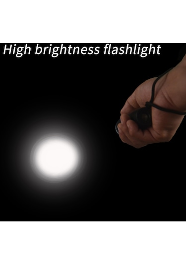 Hallow Ultrasonik Köpek Kovucu 3 Modlu Akıllı Yüksek Parlaklıklı Siyah