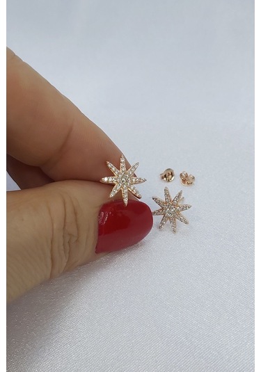 925 Ayar Rose Yıldız Gümüş Küpe