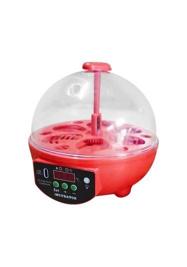 Ankatek Suntek Güvercin Kaz Yumurtaları Kırmızı Için Yumurta