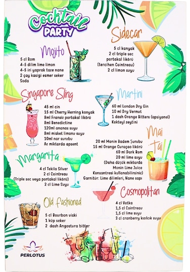 Perlotus Kokteyl Shaker Jigger Mojito Tokmak Bar Kaşığı Kokteyl Tarifleri Seti Kutusunda