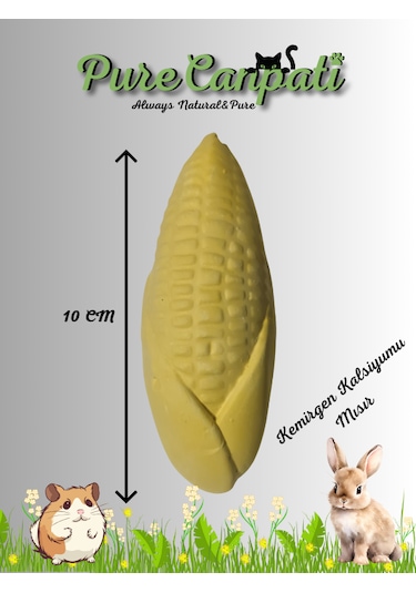 Purecanpati Kemirgen Kalsiyumu Mısır