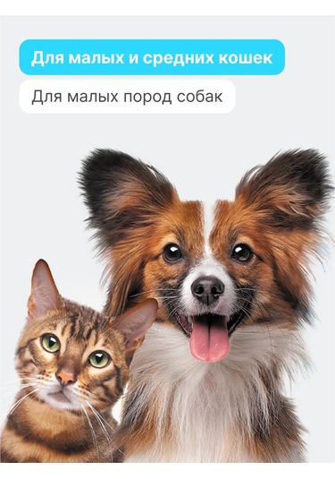 Rıch Breed Kedi Ve Küçük-orta Boy Irk Köpekler İçin Yumuşak Yuva 305423823