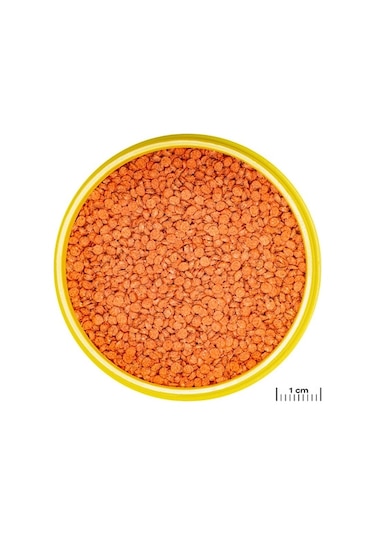 Jbl Pro Novo Bits Grano Medium 2640 Gr / 5,5 L Kova Yem