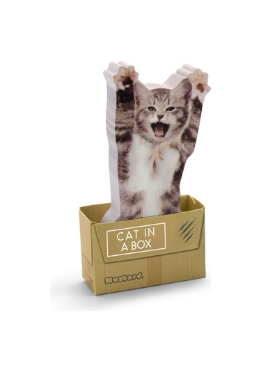 Mustard Cat İn A Box Yapışkanlı Not Kağıdı