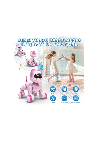 Uzaktan Kumandalı Ses Kontrollü Programlanabilir Akıllı Robot Kedi