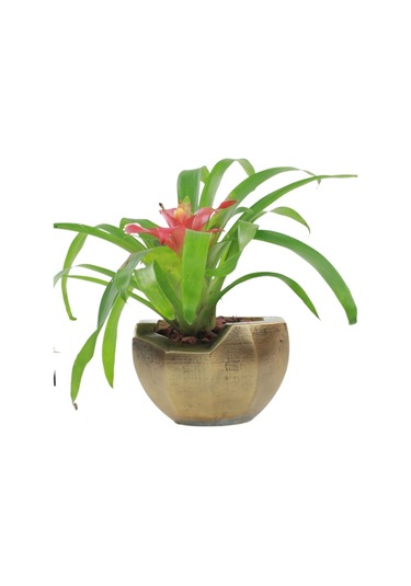 Saksı Çiçek Kaktüs Saksısı Lüx 15 Cm Gümüş Eskitme Varak Boyalı Önü Açık Desen Saksı Çiçeklik - Altın Eskitme