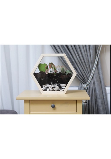 Tekli Altıgen Ahşap Duvar Saksısı (Masif Ahşap)