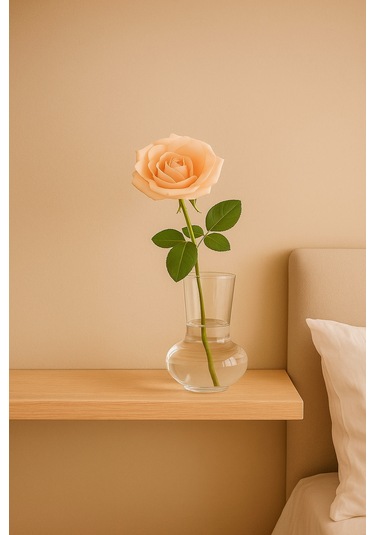 500 Ml Isıya Dayanıklı Borosilikat Cam Vazo / Mumluk / Sunum Bardağı Minimalist Tasarım Şeffaf