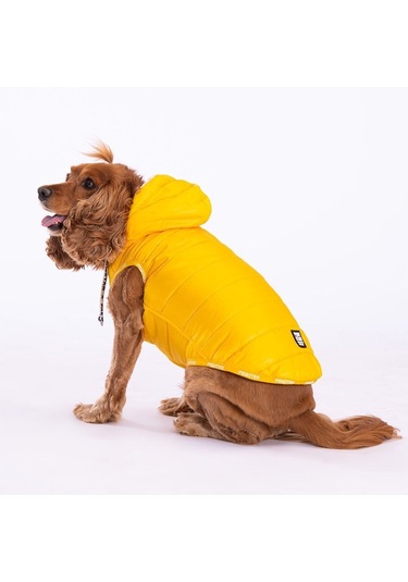Pawstar Neon Sarı Railway Küçük Orta Irk Köpek Yeleği