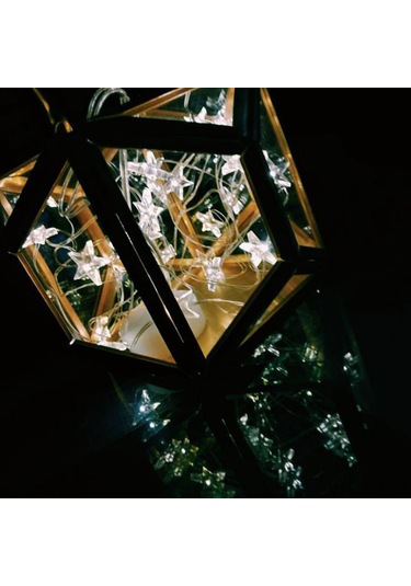 Ximistore9 Bz234 2m Gümüş Bakır Tel Led Işık Zinciri, 20 Adet Beyaz Ampul, Pil Kutuslu, İç/ Dış Mekan, Noel Ağacı, Bahçe Dekorasyonu, Yıldız Şekli