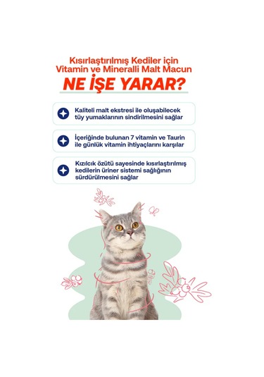 Biofeline Kısır Kediler İçin Malt Macun 100 G