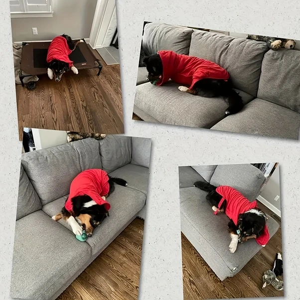 Elmpaly Kırmızı S Hızlı Kuruyan Süper Emici Köpek Bornozu - Ayarlanabilir Yün Kumaş Havlu