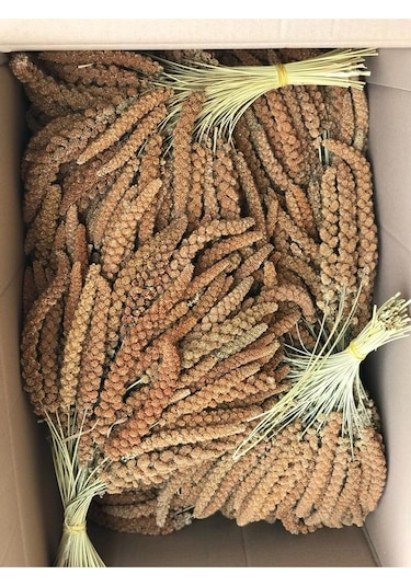 Murtcu Kızıl Dal Darı Protein Deposu Organik Kuş Yemi 1 Kg